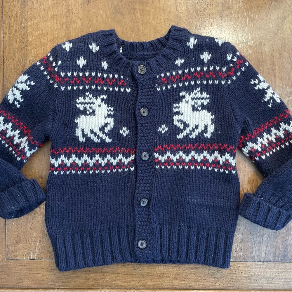 POLO Ralph Lauren Reindeer Sweater NWOT 12M